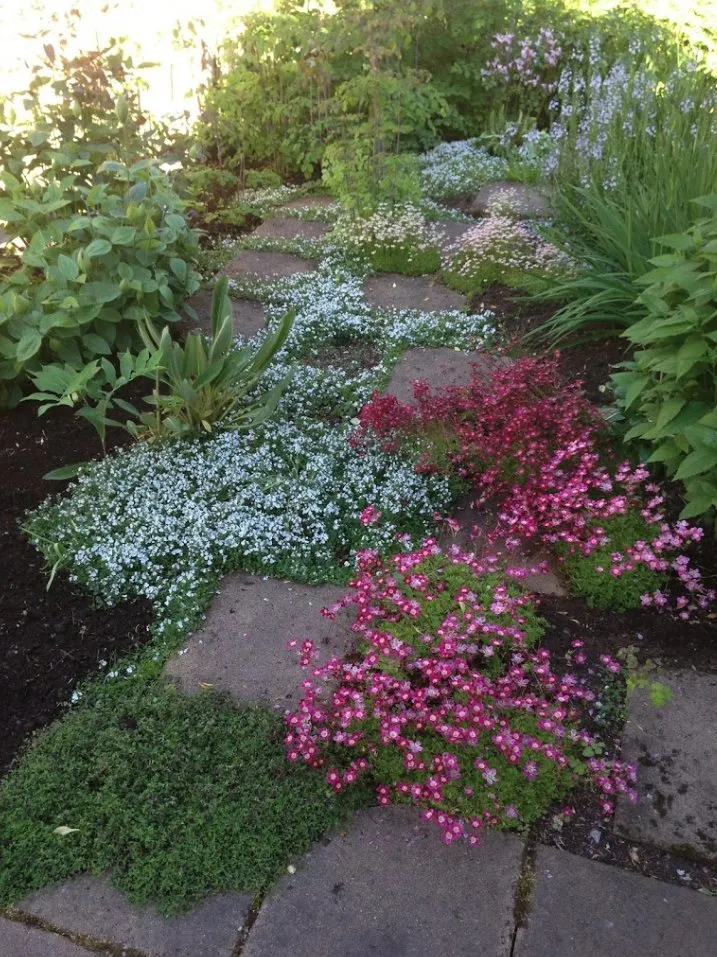 Professional yard cleanup service experts serving Anchorage, AK - Arctic Sunshine