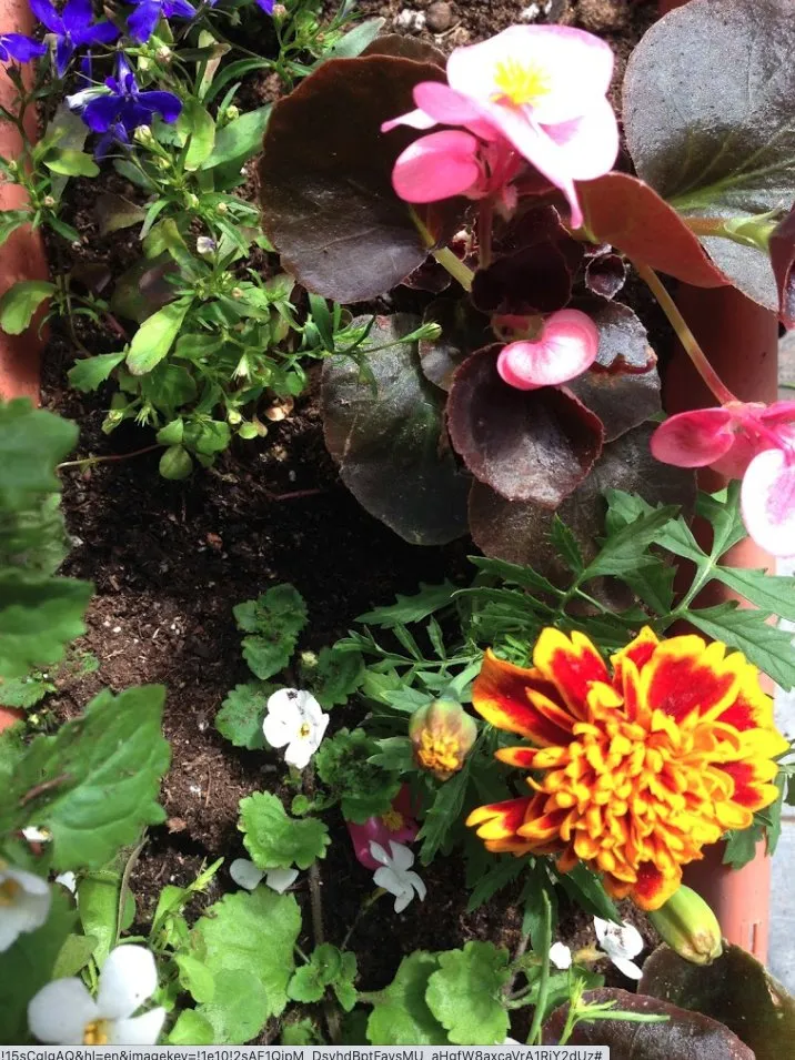 Professional residential landscaping in Anchorage, AK - Arctic Sunshine