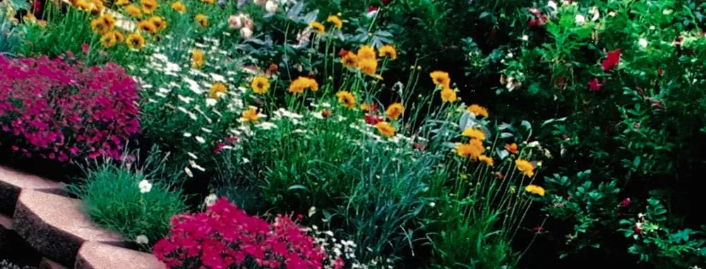 Expert outdoor landscaping in Anchorage, AK - Arctic Sunshine