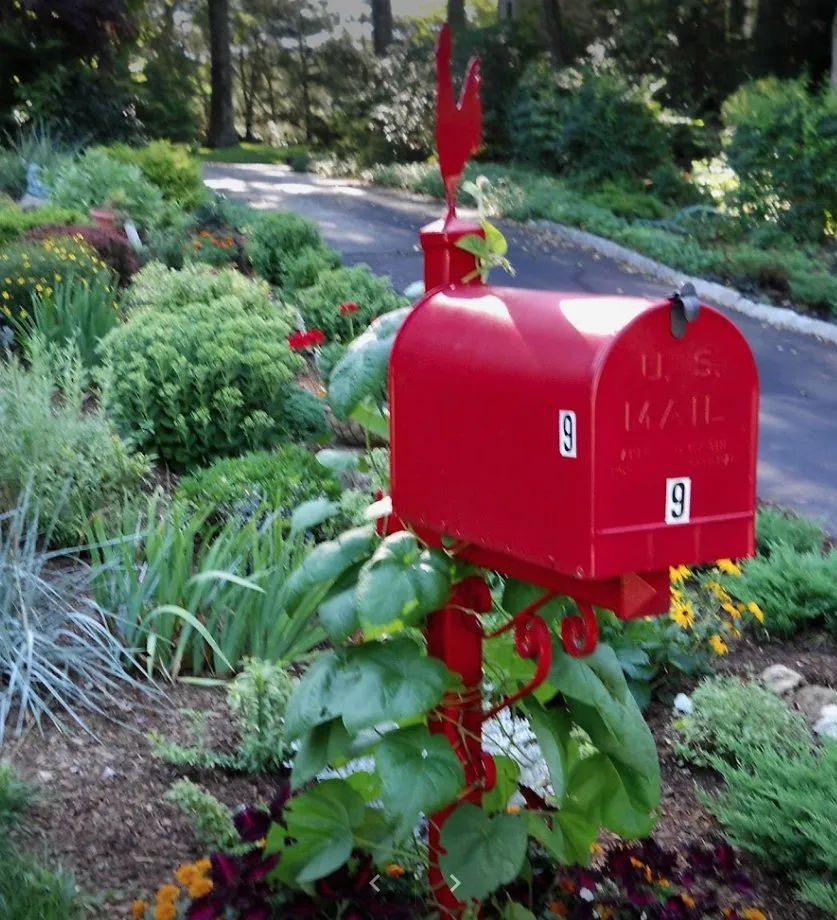 Professional landscape design for beautiful yards across Anchorage, AK - Arctic Sunshine