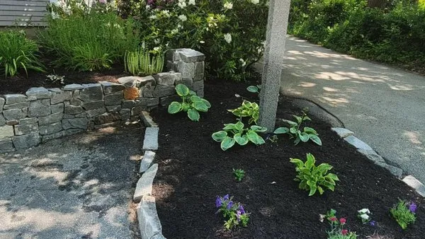 Arcturian Landscaping & Property Management