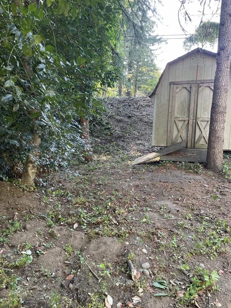 Top-rated yard cleanup service for residential properties in Vancouver, WA by Arden Landscaping