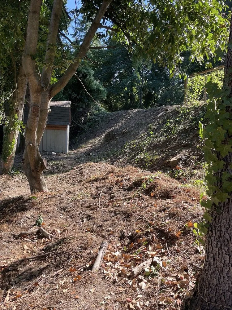 Affordable landscaping services with custom design in Vancouver, WA by Arden Landscaping