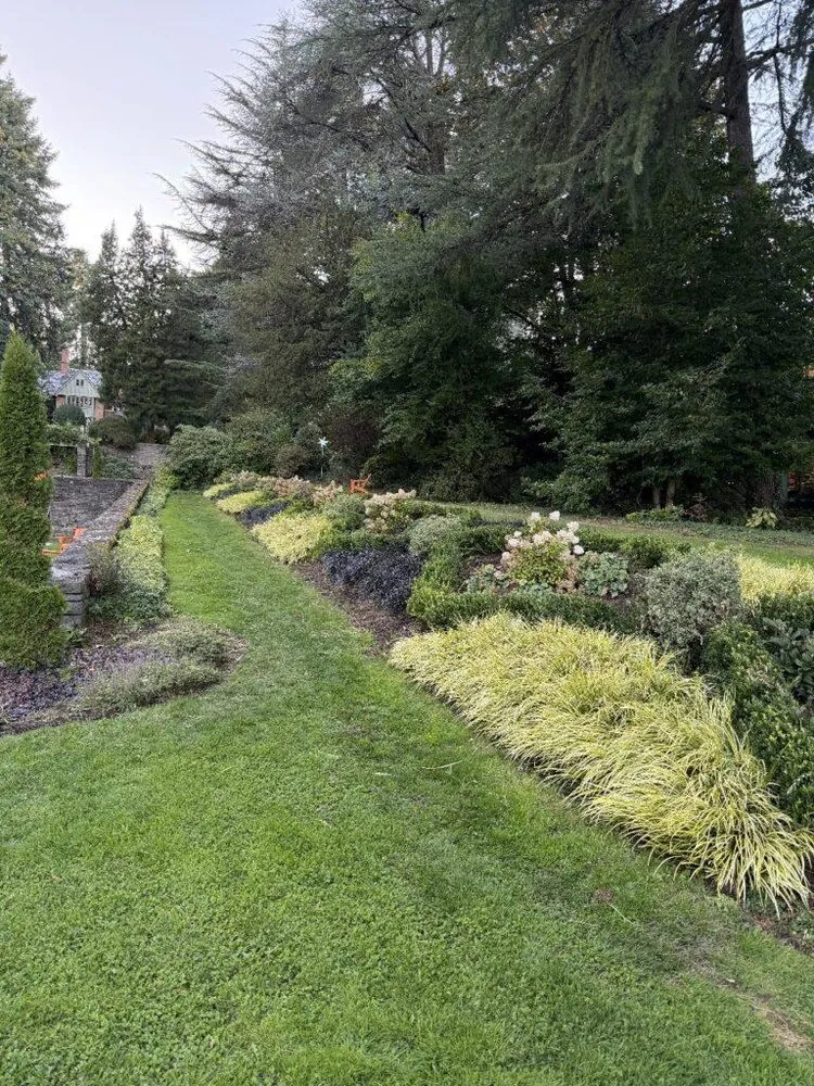 Reliable yard cleanup service experts serving Vancouver, WA - Arden Landscaping
