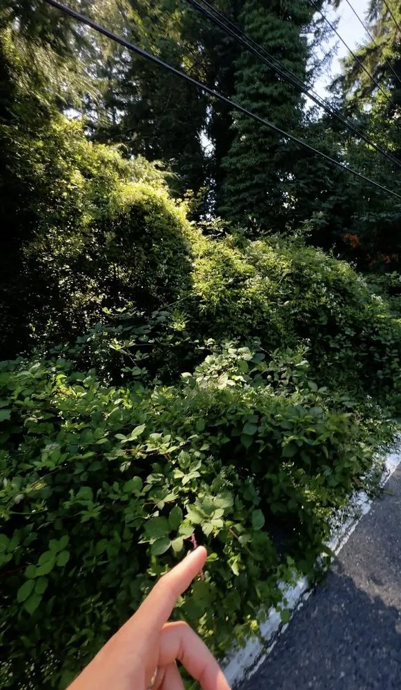 Expert landscape design experts serving Vancouver, WA - Arden Landscaping