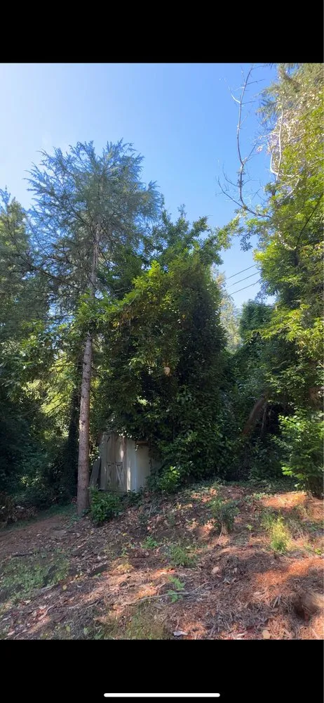 Local residential landscaping for year-round maintenance in Vancouver, WA by Arden Landscaping