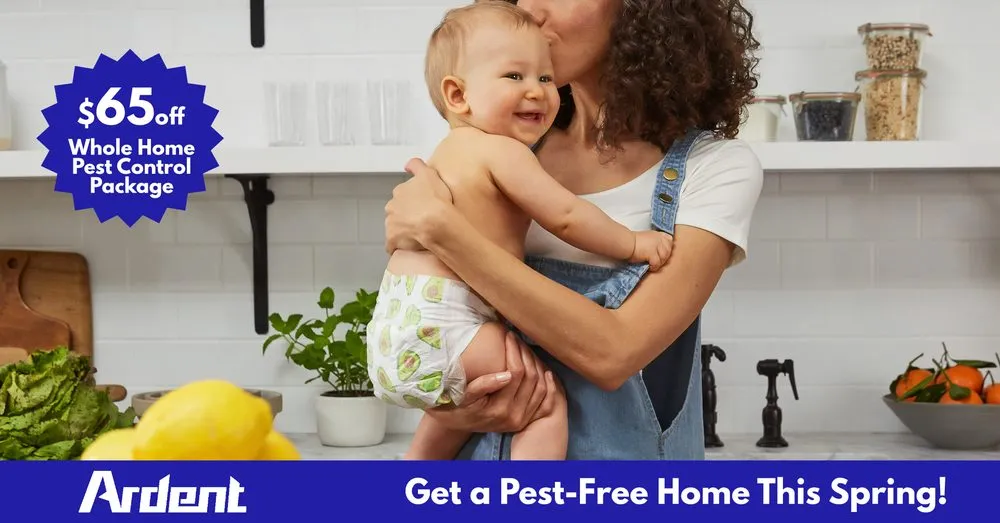 Reliable landscape design for beautiful yards across Norfolk, VA - Ardent Pest Control