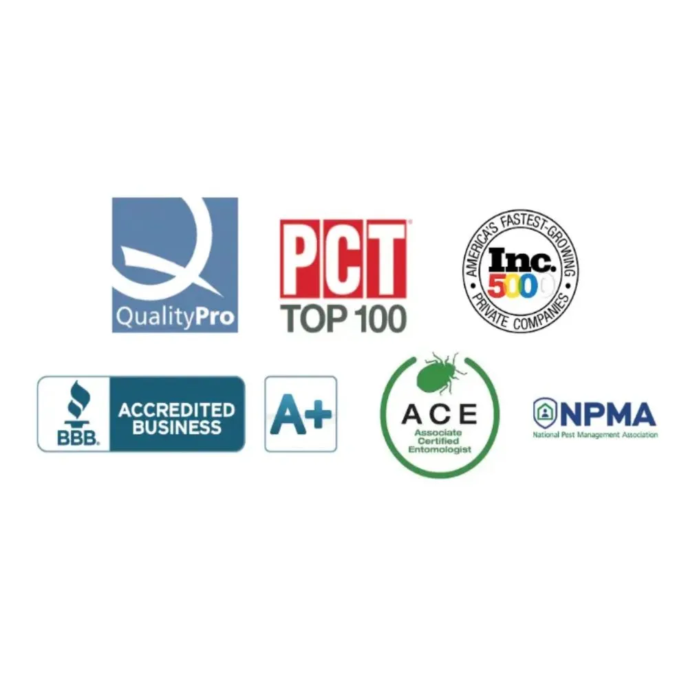 Custom lawn mowing service near you across Norfolk, VA - Ardent Pest Control