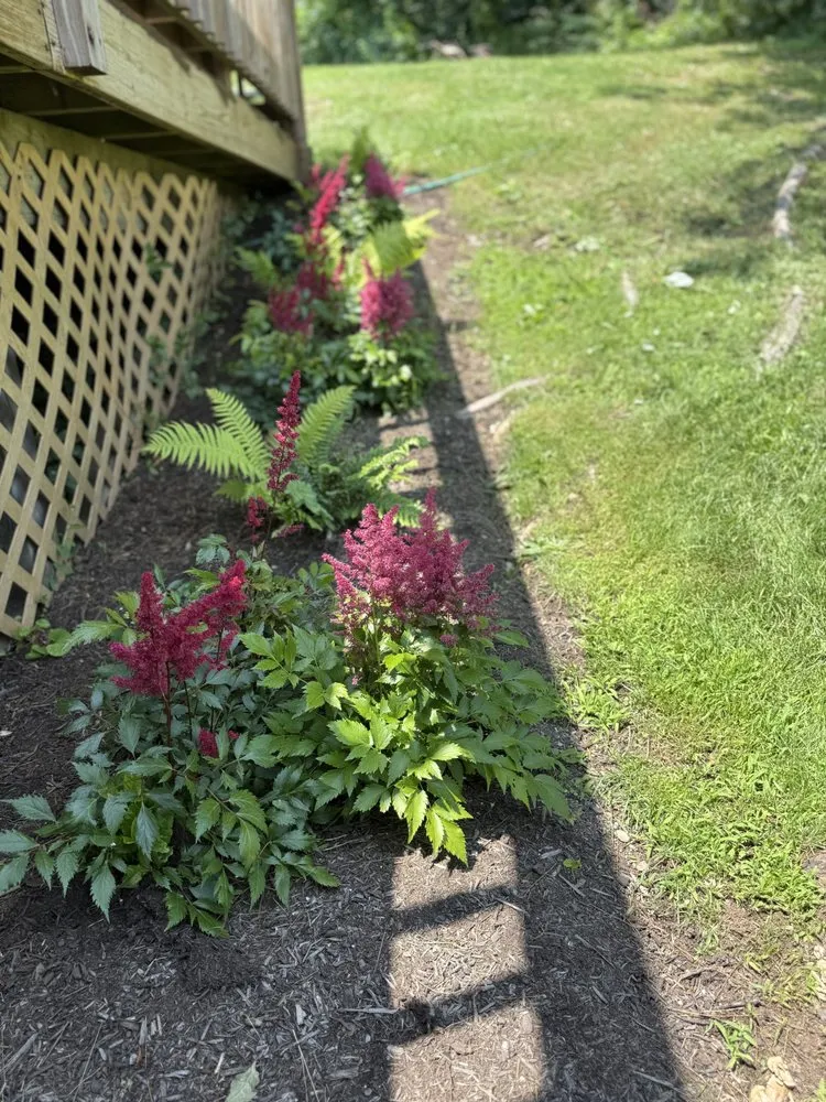 Local outdoor landscaping for residential properties across Poughkeepsie, NY - Ardisi Property Maintenance