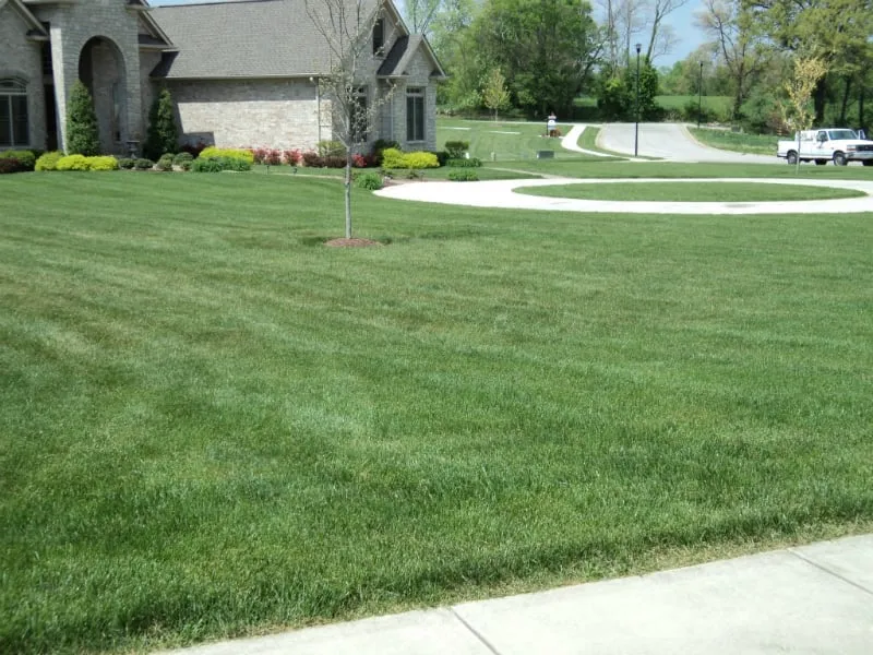 Professional landscaping services for residential properties in Bowling Green, KY by Ardon Lawns & Landscapes