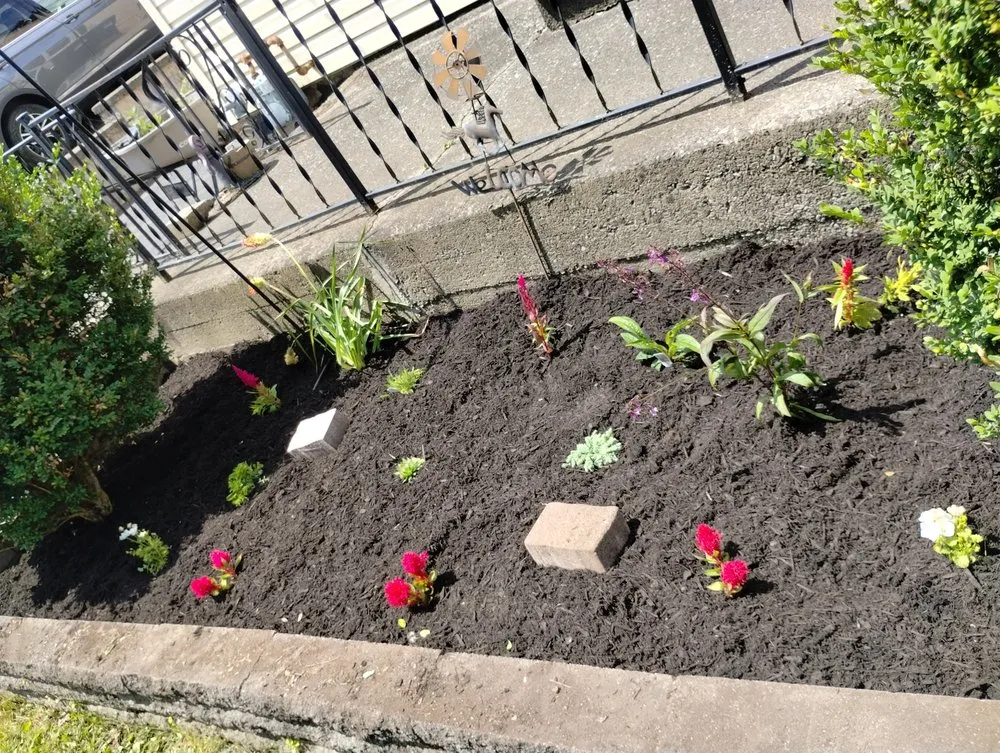 Professional yard maintenance in Phoenix, NY - Arduini Farms & Landscaping