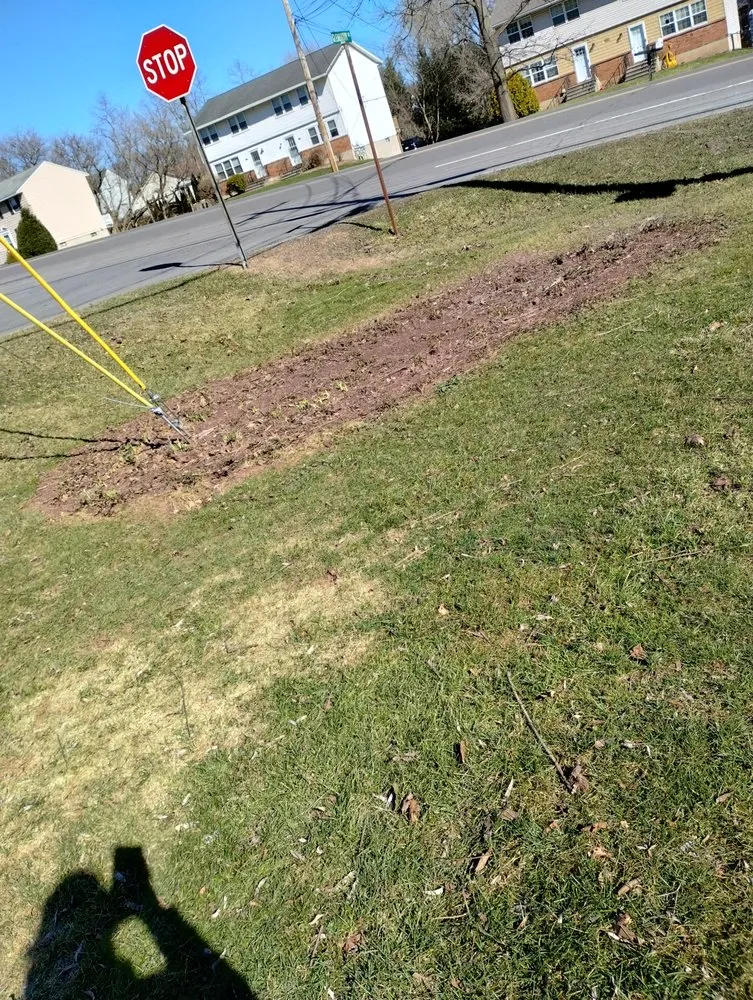 Expert landscape design for homes in Phoenix, NY by Arduini Farms & Landscaping