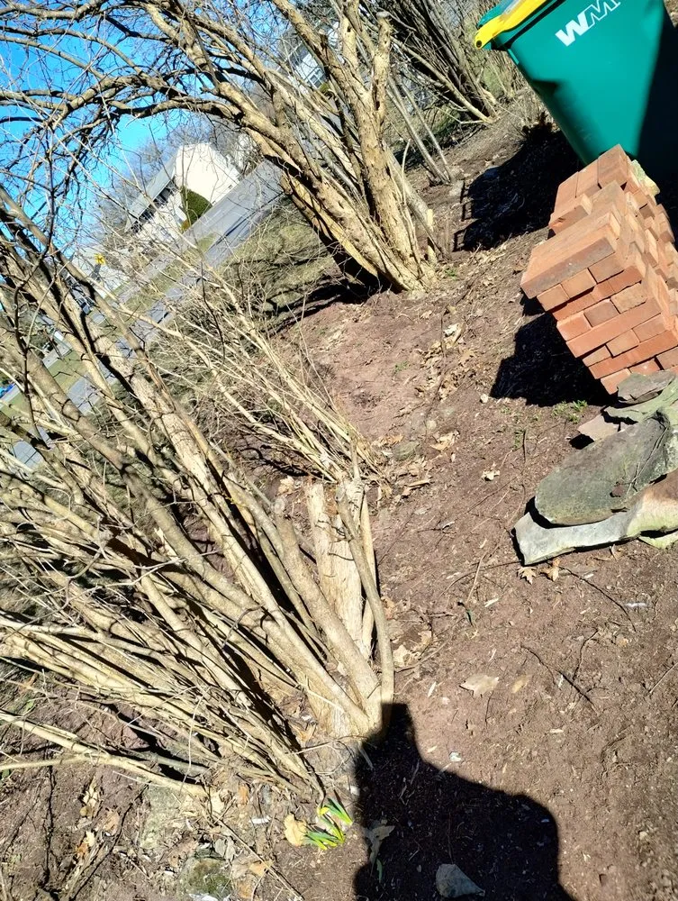 Top-rated yard maintenance for residential properties in Phoenix, NY by Arduini Farms & Landscaping