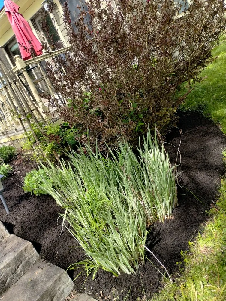 Local yard cleanup service for beautiful yards in Phoenix, NY by Arduini Farms & Landscaping