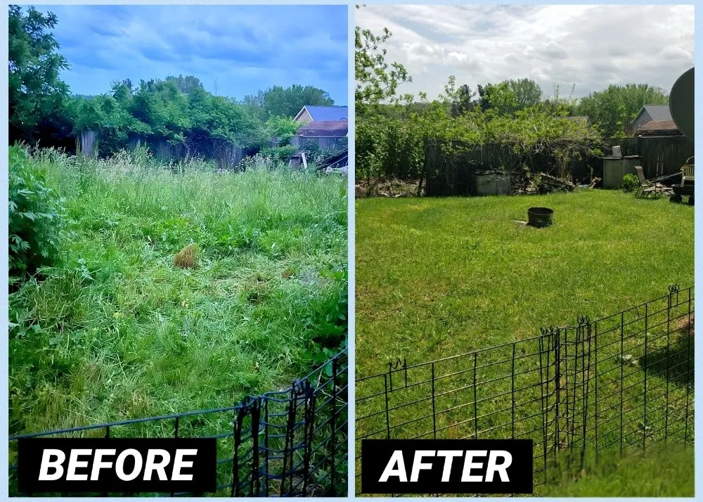 Top-rated garden landscaping in Erie, PA - ARE Property Services