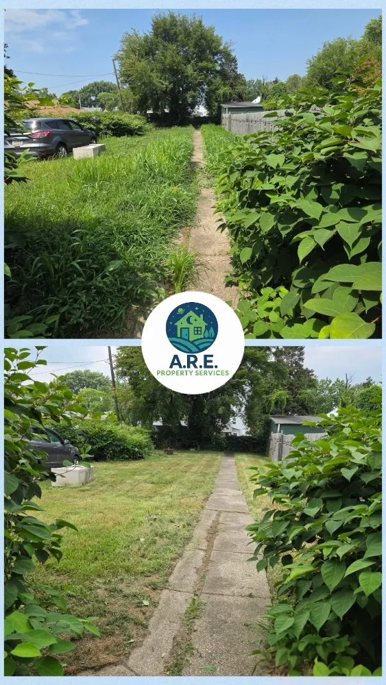 Affordable lawn mowing service for outdoor upgrades across Erie, PA - ARE Property Services