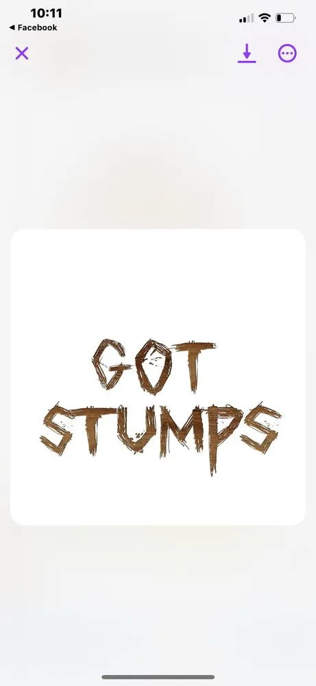 Professional landscape design in Union Grove, WI - Are you stumped? Stump grinding