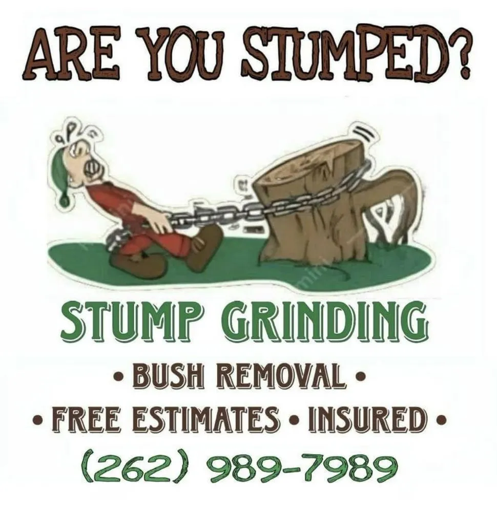 Professional landscaping services for beautiful yards in Union Grove, WI by Are you stumped? Stump grinding