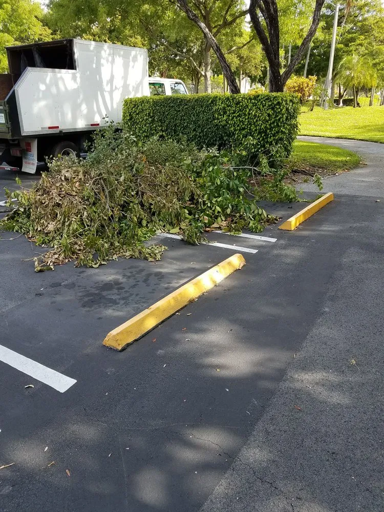 Reliable landscaping services in Pompano Beach, FL - Area Landscape Services