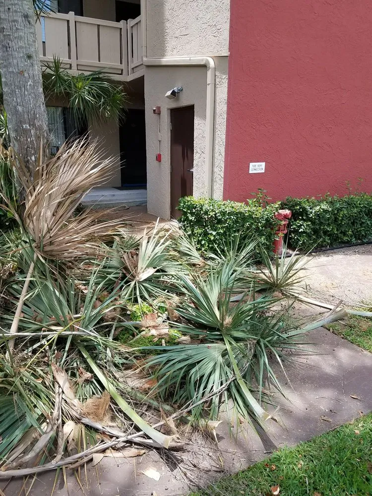 Top-rated lawn care service for outdoor upgrades across Pompano Beach, FL - Area Landscape Services