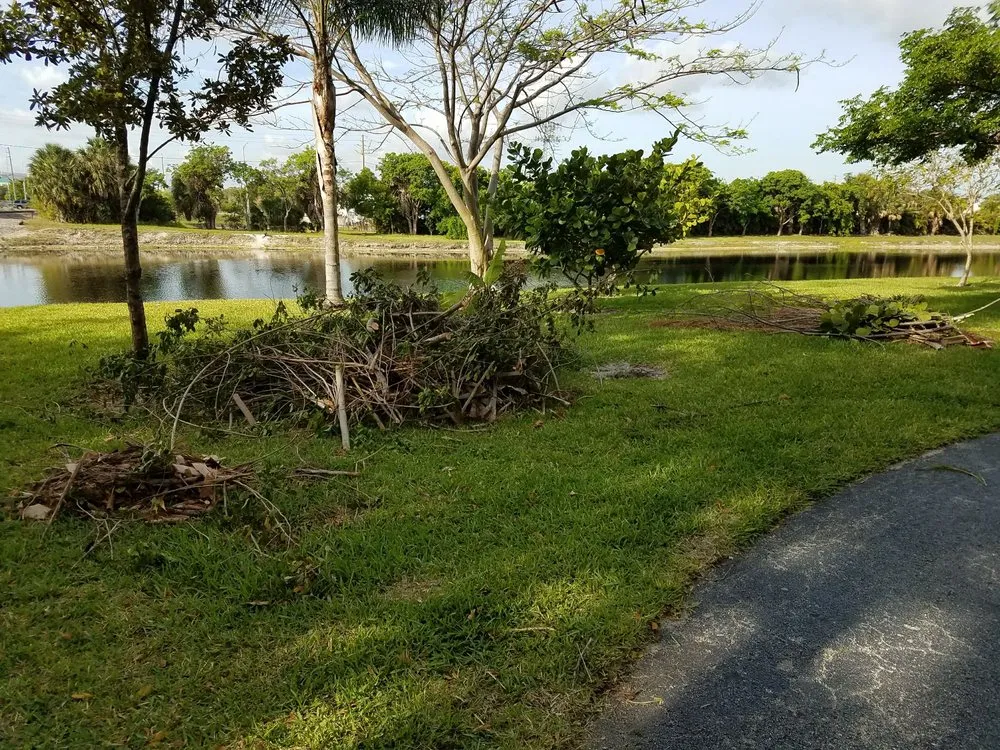 Professional outdoor landscaping experts serving Pompano Beach, FL - Area Landscape Services