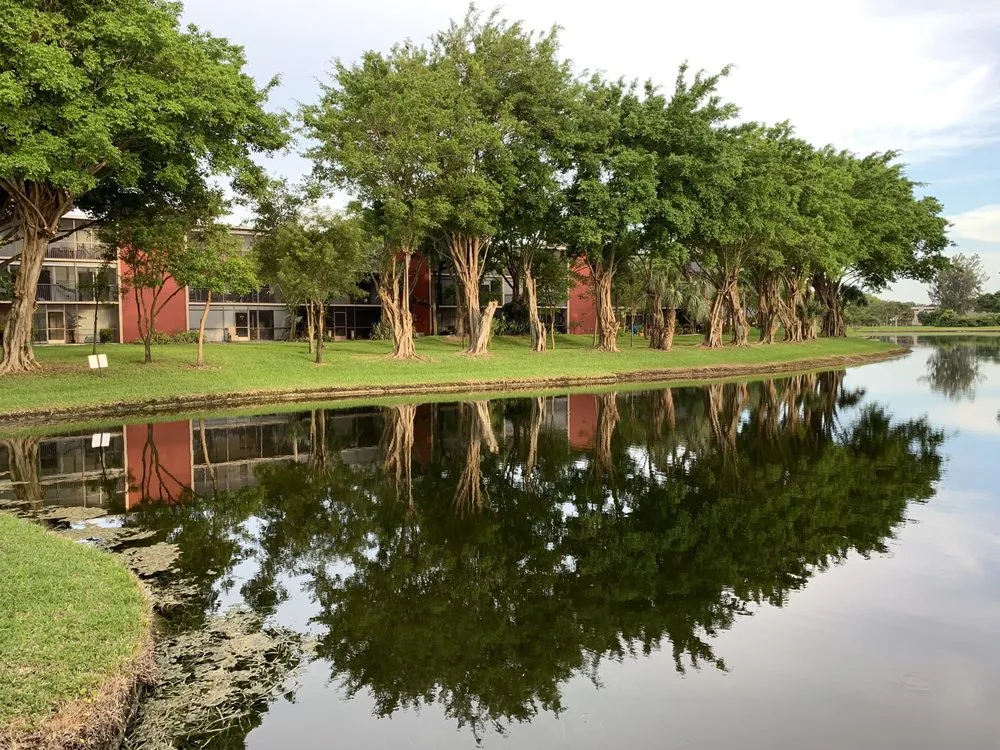 Local landscape installation in Pompano Beach, FL - Area Landscape Services