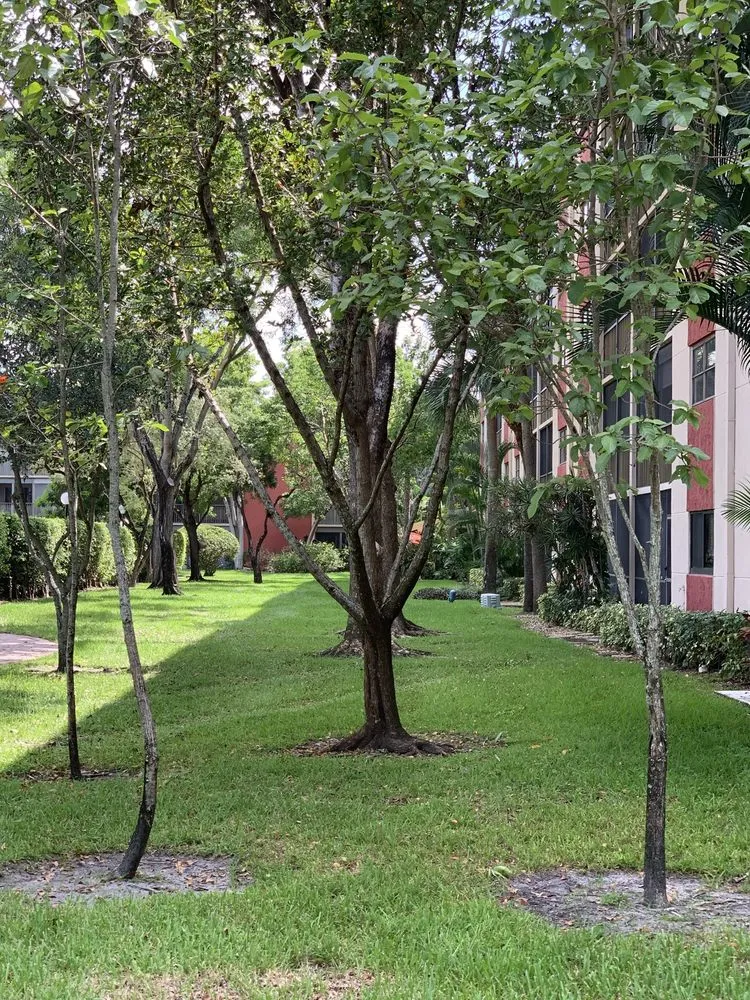 Professional garden landscaping experts serving Pompano Beach, FL - Area Landscape Services