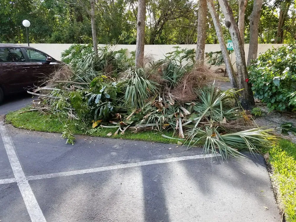 Professional outdoor landscaping for outdoor upgrades in Pompano Beach, FL by Area Landscape Services
