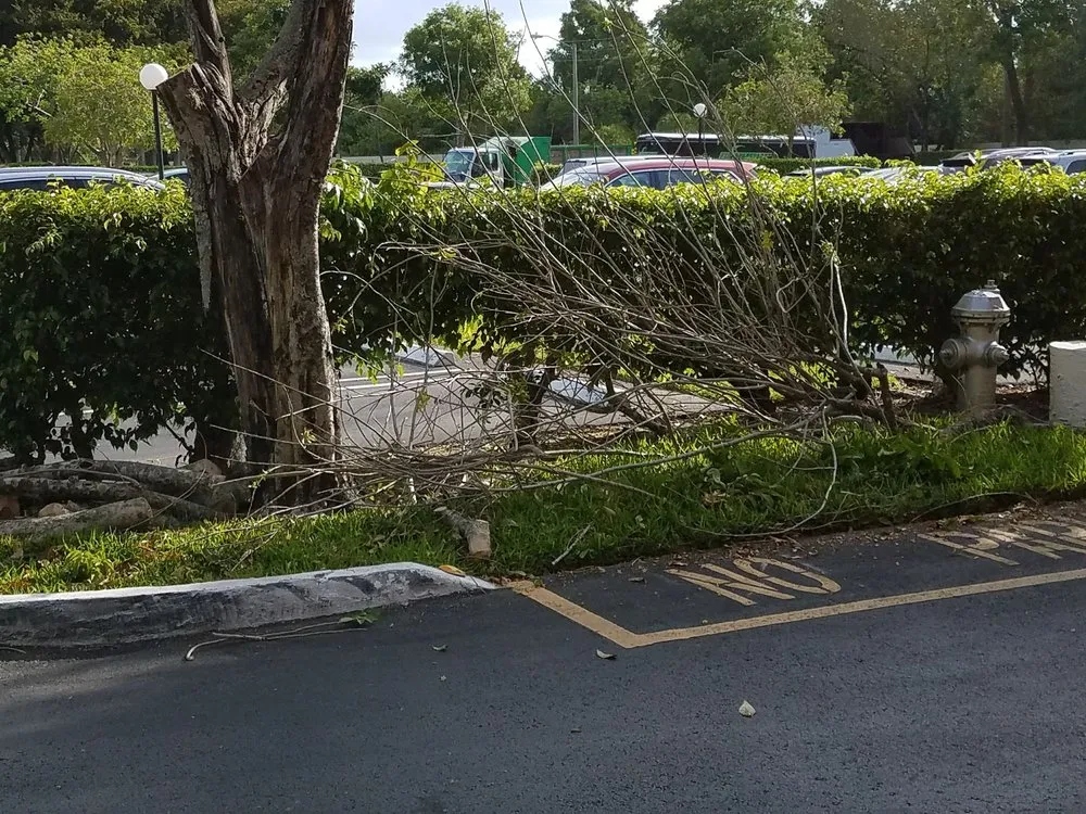 Reliable outdoor landscaping in Pompano Beach, FL by Area Landscape Services