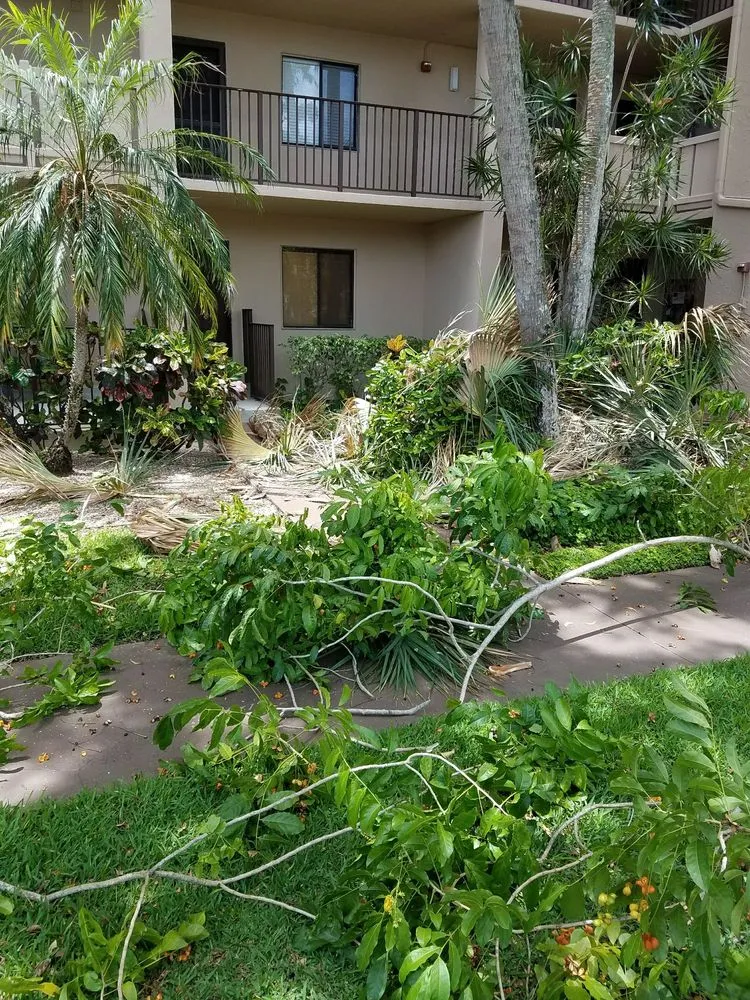 Trusted landscaping services near you across Pompano Beach, FL - Area Landscape Services