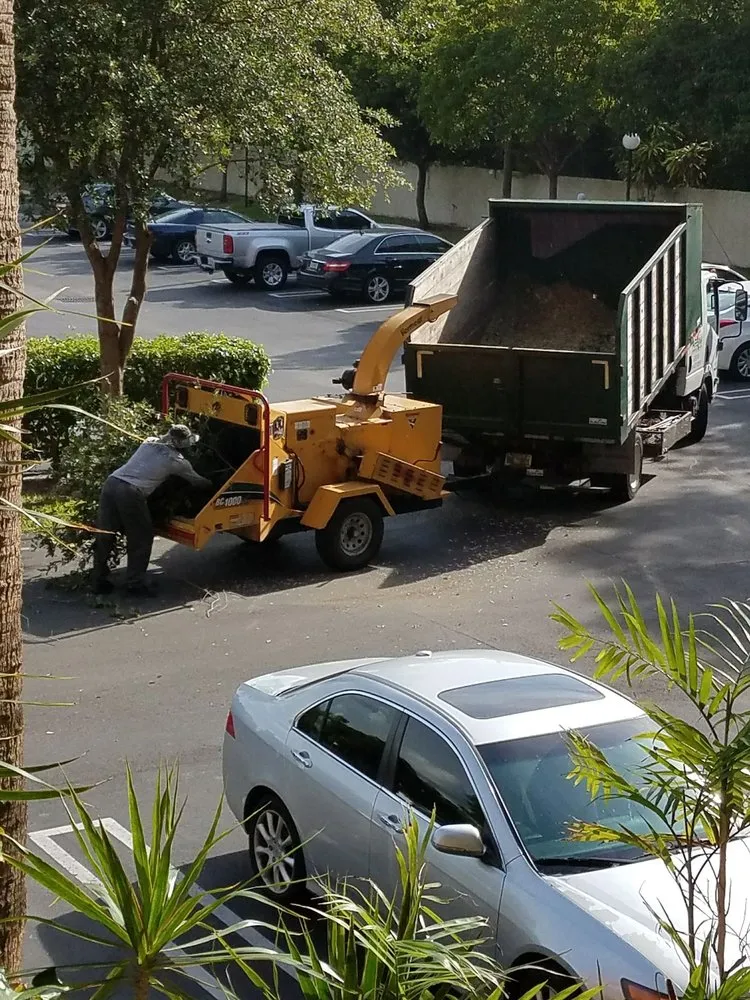 Local landscape design in Pompano Beach, FL by Area Landscape Services