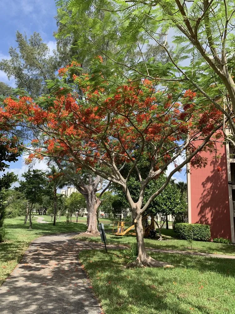 Reliable landscape installation in Pompano Beach, FL by Area Landscape Services