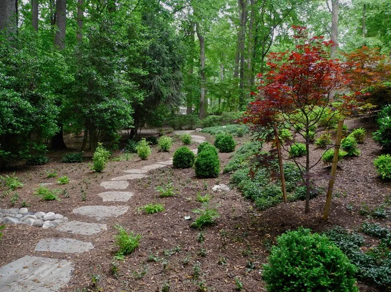 Expert landscape design in Fairfax, VA by Area Landscaping