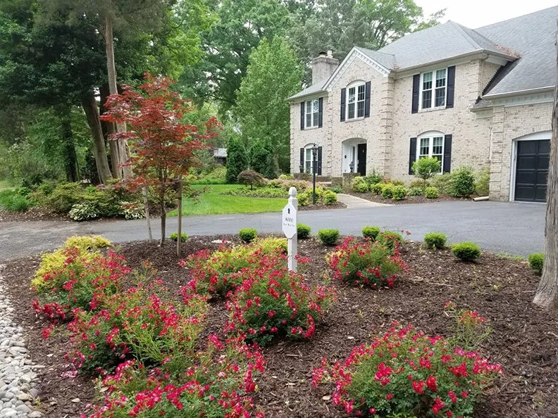 Local yard maintenance experts serving Fairfax, VA - Area Landscaping