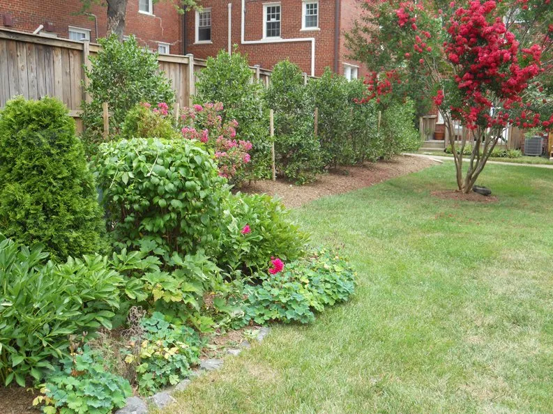 Affordable residential landscaping for homes across Fairfax, VA - Area Landscaping