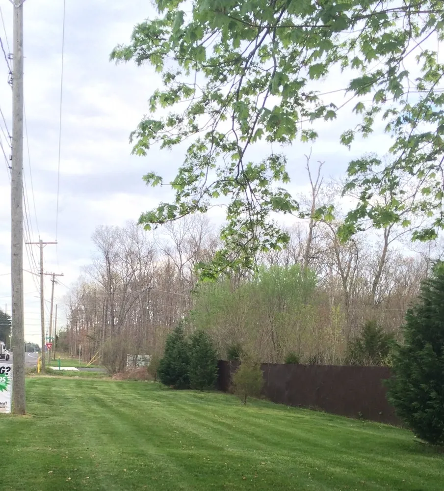 Trusted landscaping services for outdoor upgrades across Little Egg Harbor Township, NJ - Area Maintenance