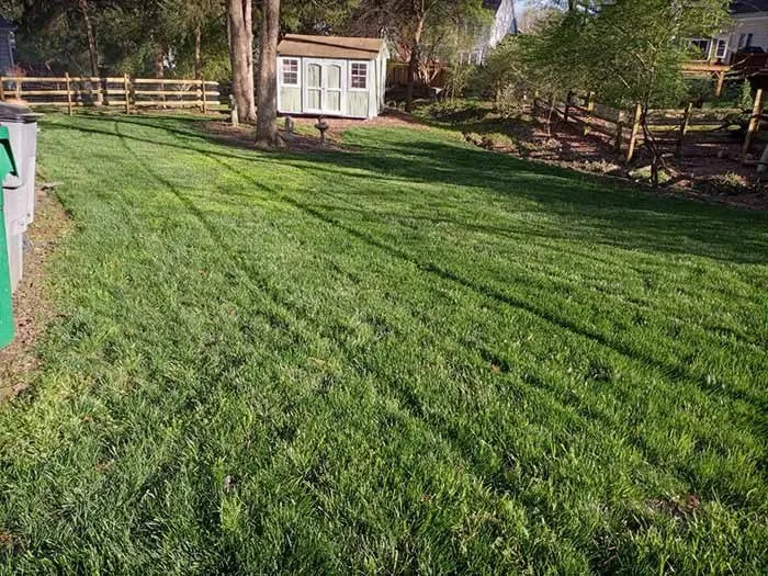 Affordable residential landscaping near you in Charlotte, NC by Area Verde Landscaping