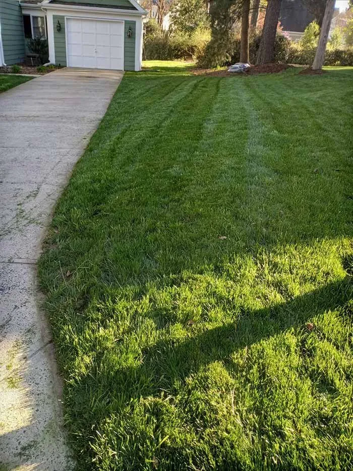 Reliable residential landscaping in Charlotte, NC by Area Verde Landscaping