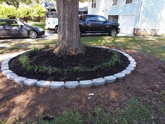 Affordable residential landscaping in Charlotte, NC by Area Verde Landscaping