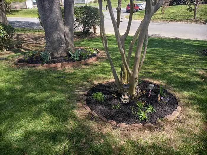 Trusted landscape design experts serving Charlotte, NC - Area Verde Landscaping