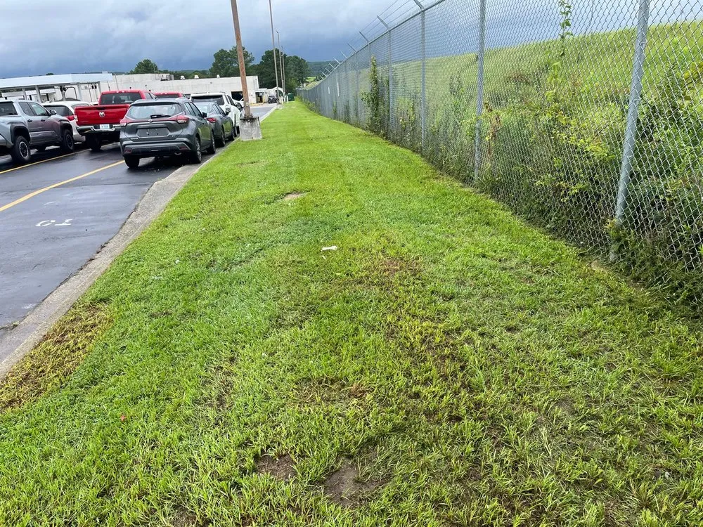 Trusted garden landscaping for year-round maintenance across Charlotte, NC - Area Verde Landscaping