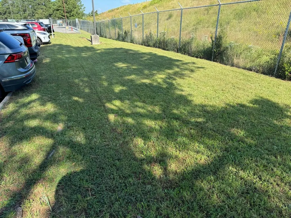 Top-rated landscaping services experts serving Charlotte, NC - Area Verde Landscaping