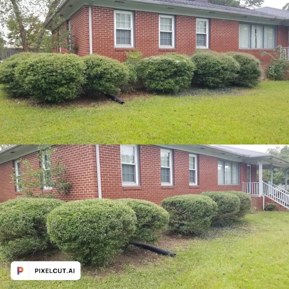 Trusted landscape design for outdoor upgrades across Garysburg, NC - Area Wide Lawn Care and Pressure Washing