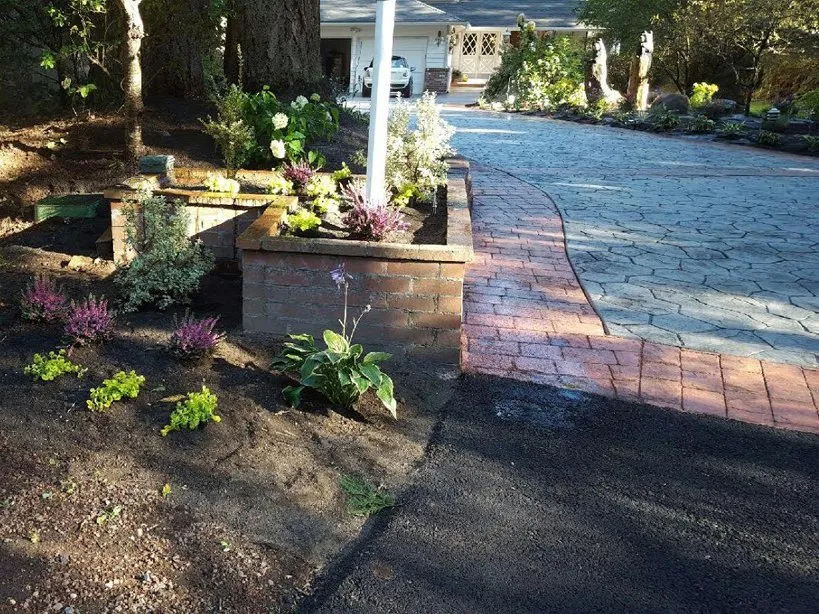 Professional lawn care service in Bothell, WA - Area's Landscaping