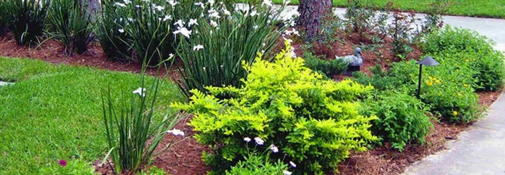 Top-rated outdoor landscaping in Bothell, WA by Area's Landscaping