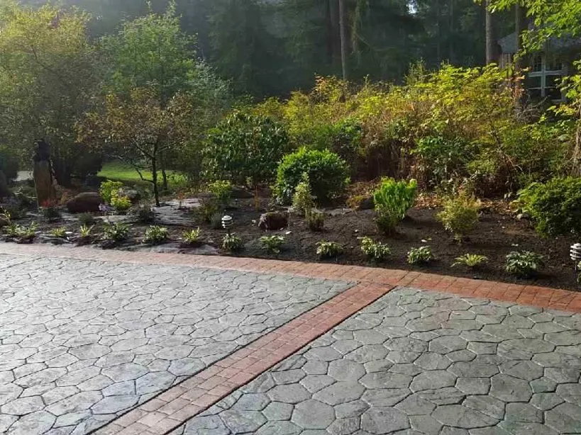 Professional yard cleanup service experts serving Bothell, WA - Area's Landscaping