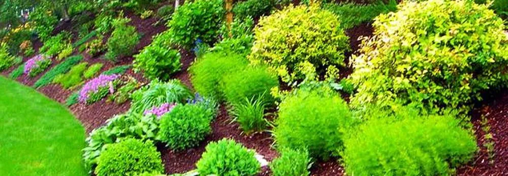 Top-rated residential landscaping experts serving Bothell, WA - Area's Landscaping