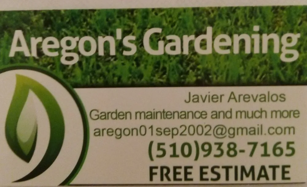Expert yard cleanup service for outdoor upgrades in Hayward, CA by Aregon's Maintenance And Landscaping