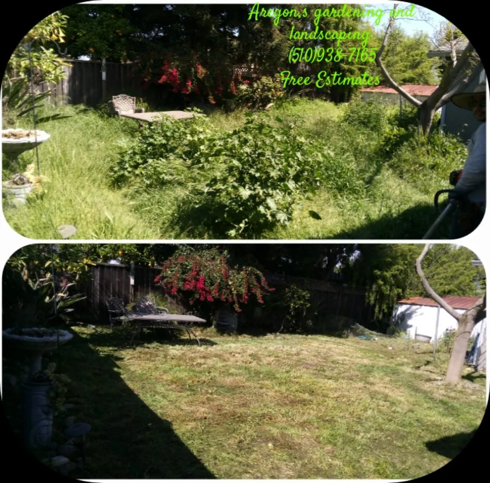 Custom landscape design in Hayward, CA - Aregon's Maintenance And Landscaping