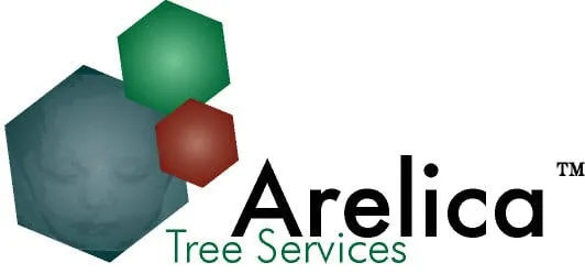 Top-rated yard maintenance in Royal Oak, MI by Arelica Tree Services